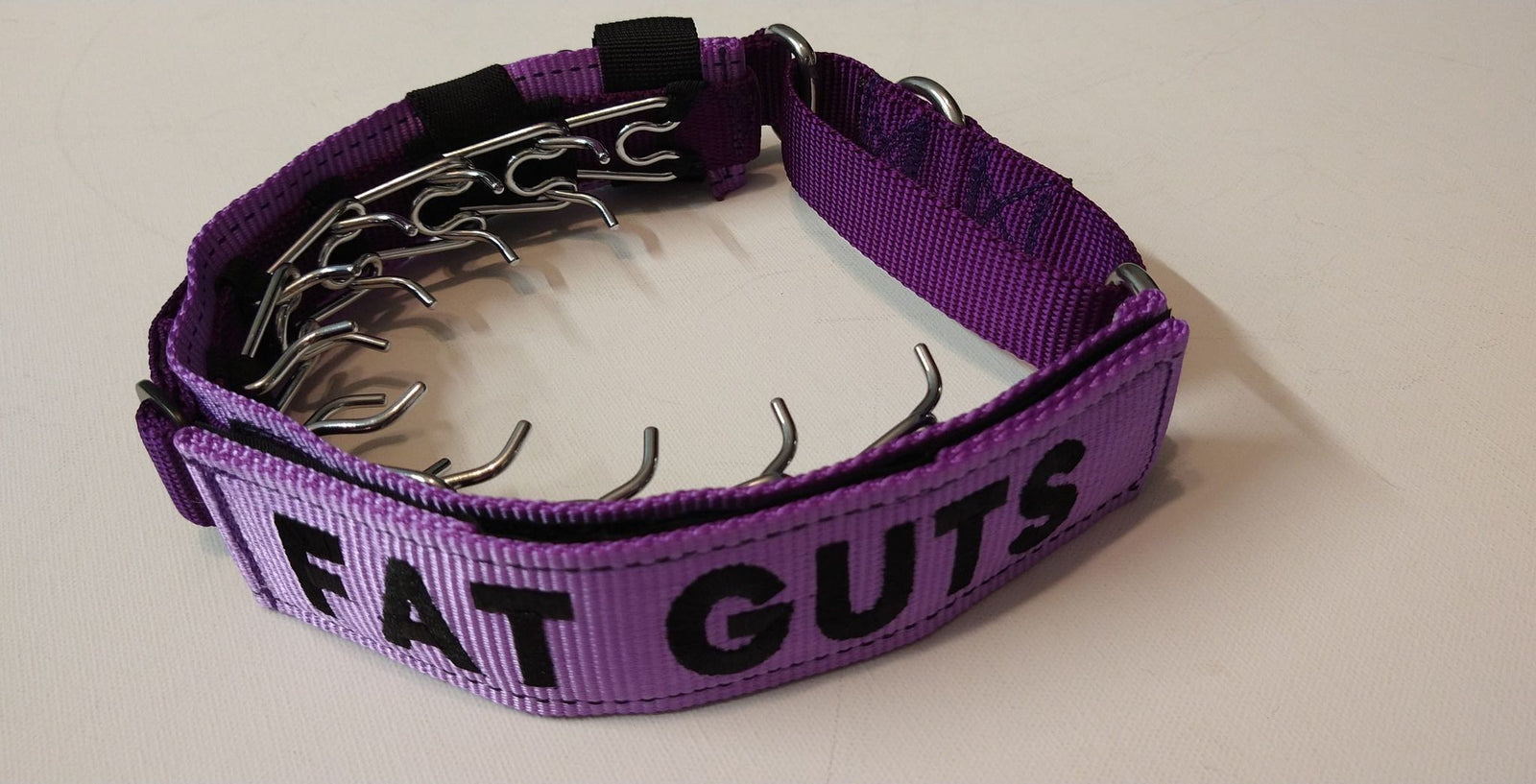 Prong Concealment Collar