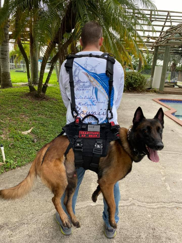 Shoulder Carry Straps