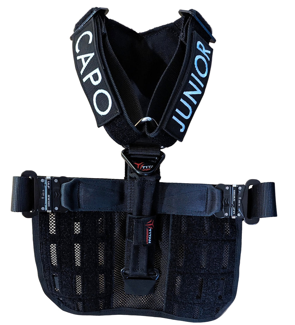 Black dog harness with 'CAPO' and 'JUNIOR' branding on a white background