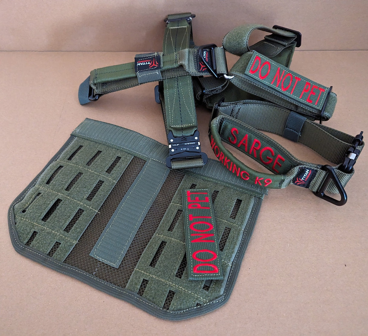 Green dog harness and collar with 'DO NOT PET' and 'SARGE' text on a beige background