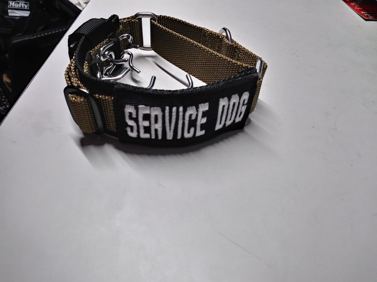 Prong Concealment Collar