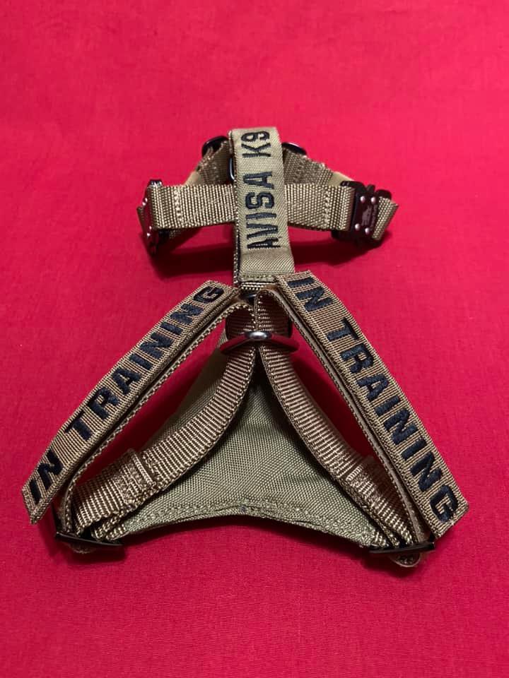 Titan's Puppy Harness