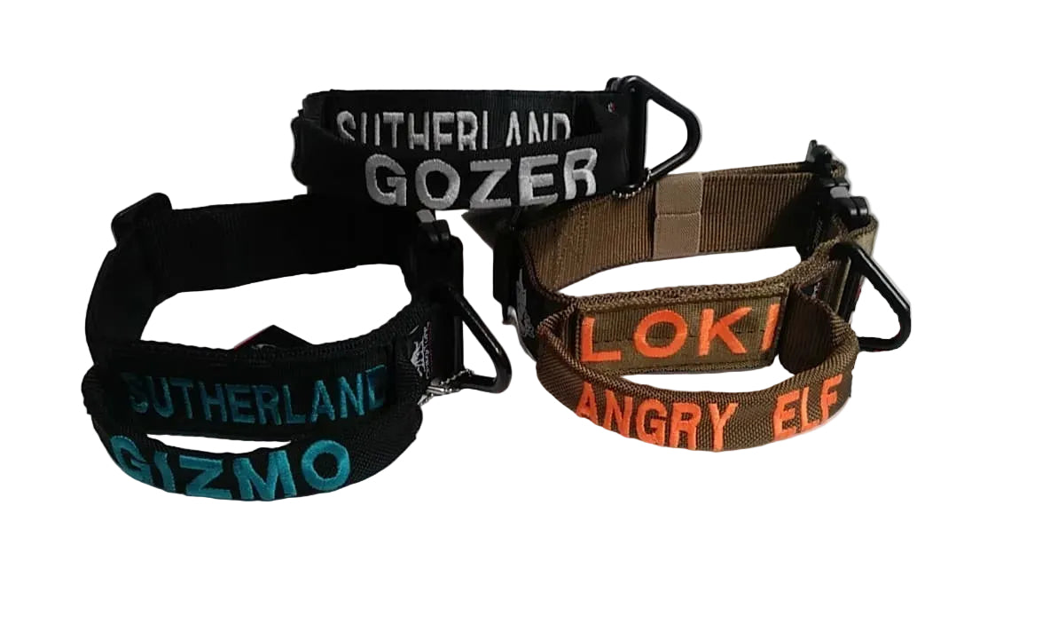 Tactical Dog Collar with handle - 1.75