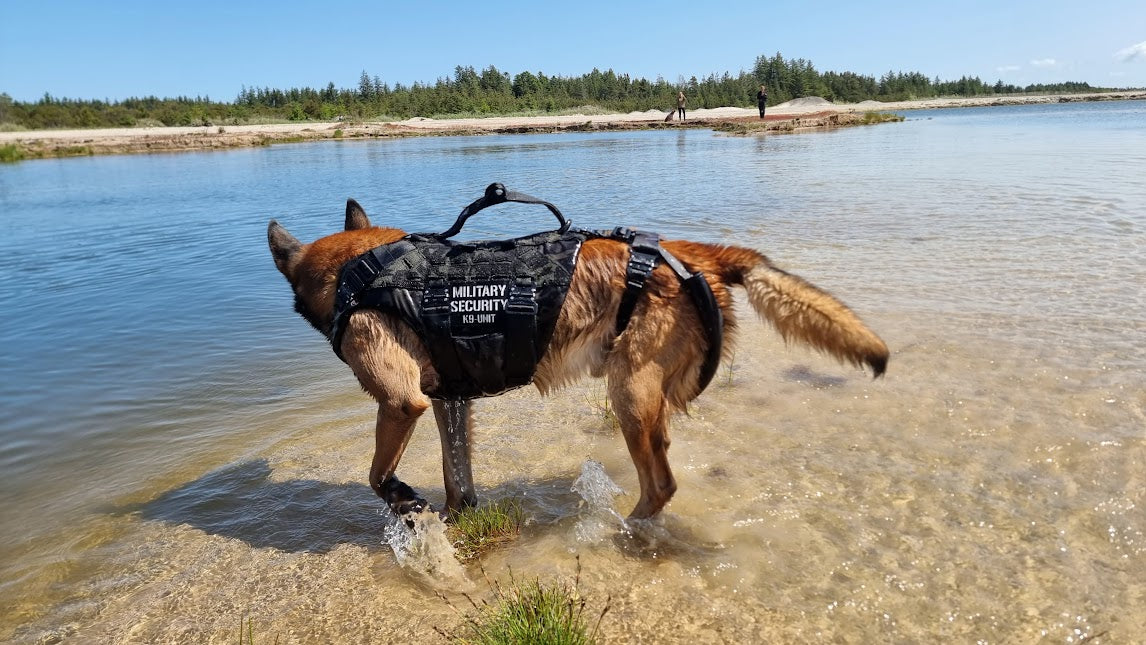 Lightweight B.A.T K9 Ballistic Protection System being tested for mobility and range of motion