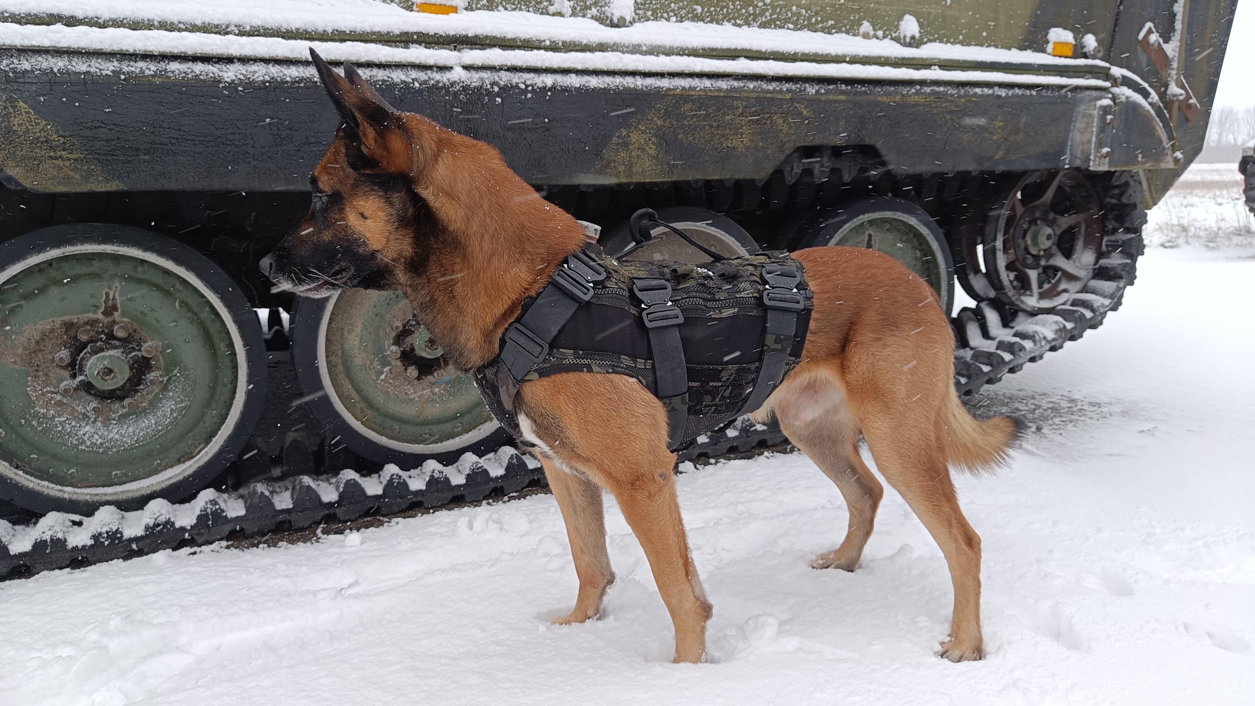 Black Ops K9 Insertion Vest