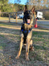 Delta K9 Harness
