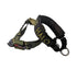 Martingale Collar