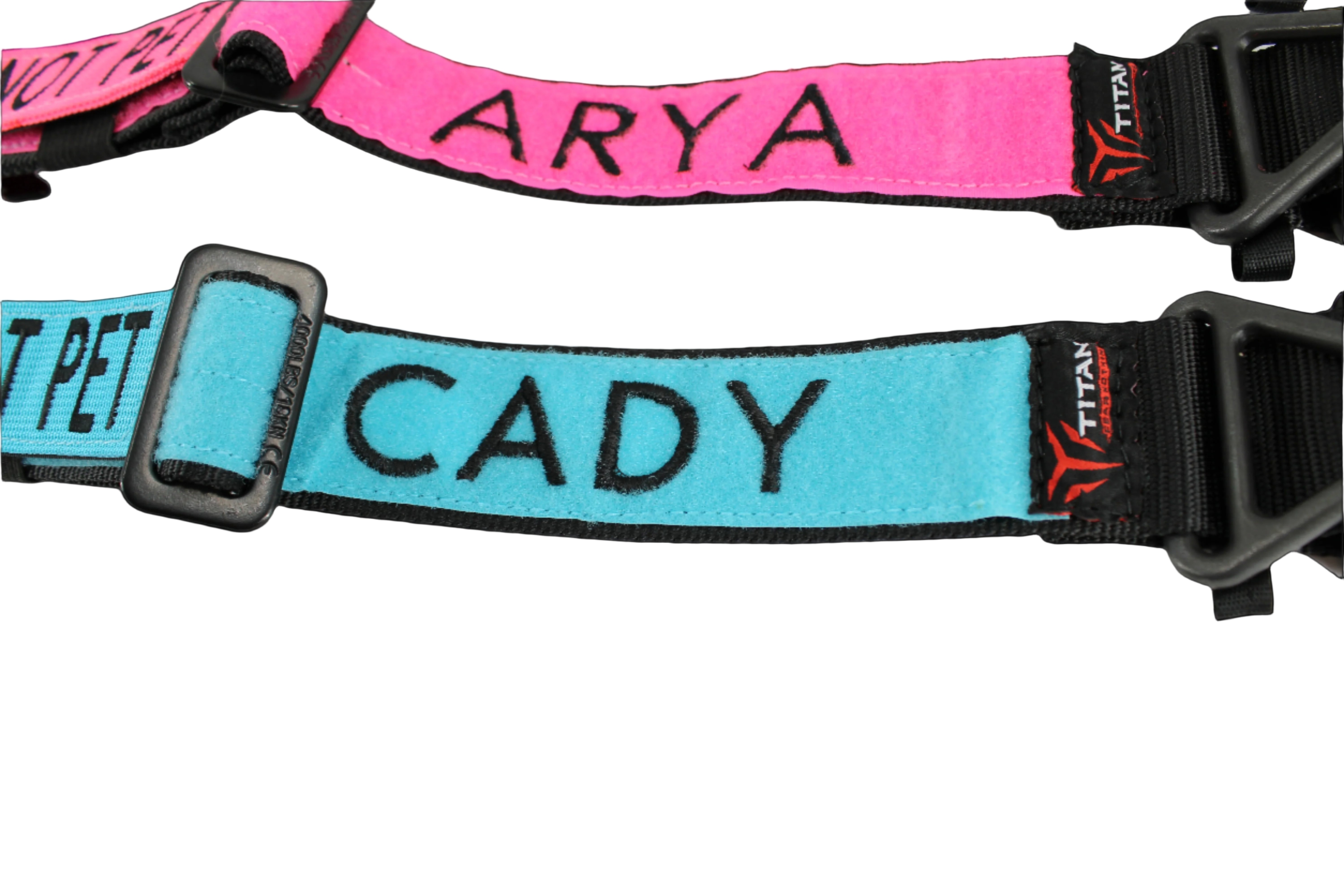 Two dog collars with names 'ARYA' and 'Cady' , made by Titan Ultra K9