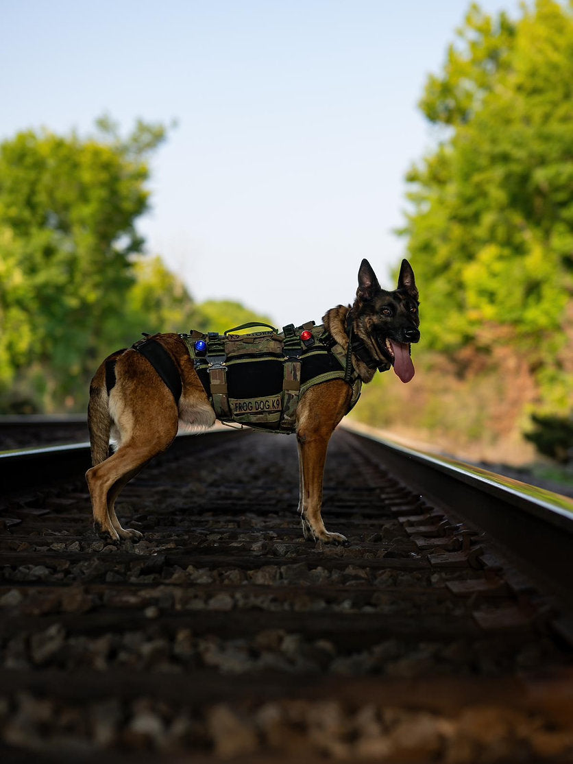 Black Ops K9 Insertion Vest