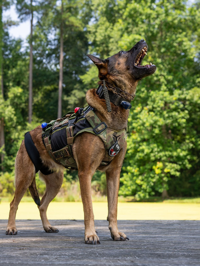 Black Ops K9 Insertion Vest
