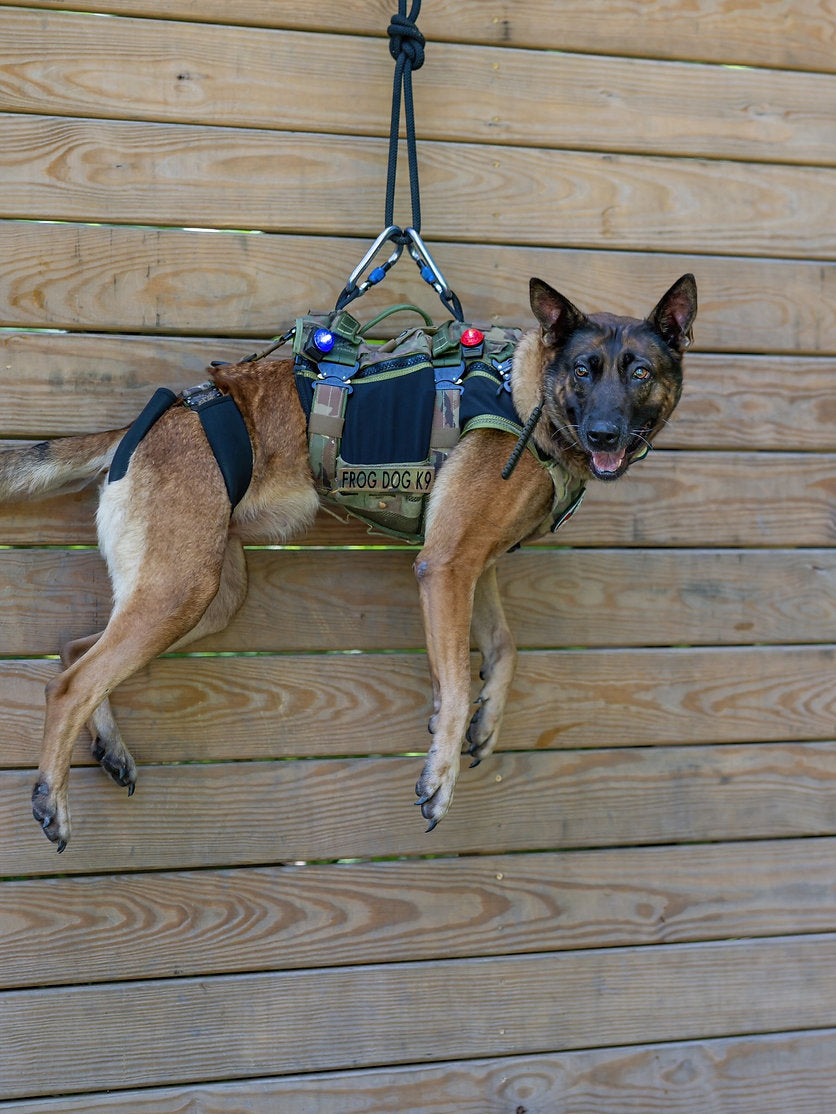 Black Ops K9 Insertion Vest