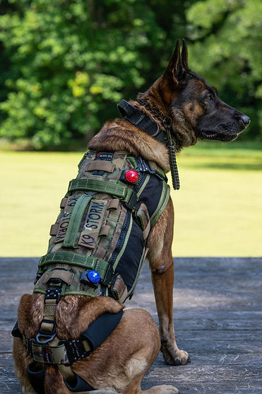 Black Ops K9 Insertion Vest