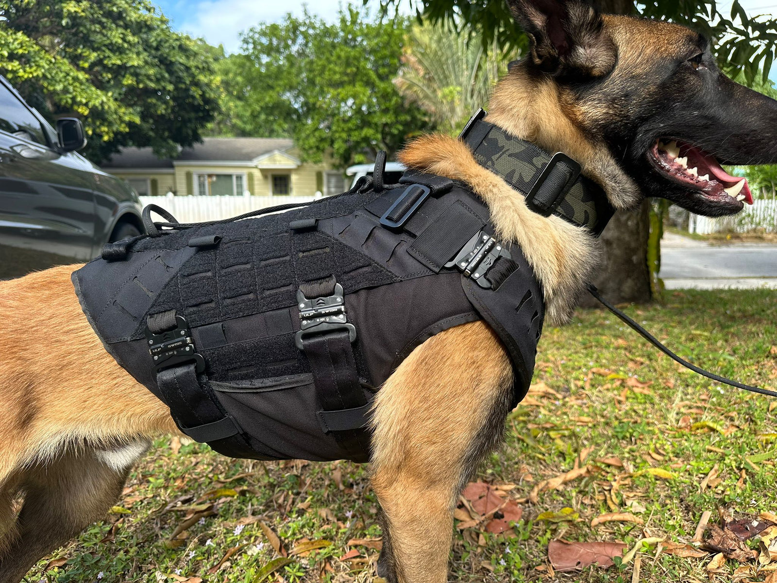 Full view of the adjustable B.A.T K9 Ballistic Protection System chassis on a K9