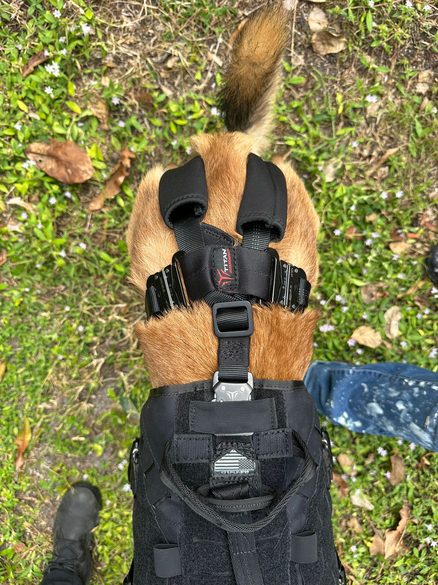 B.A.T K9 Ballistic Protection System featuring a reinforced Swiss Seat for aerial hoisting