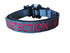 Gray dog collar with red 'DETECTION K9' text on a white background