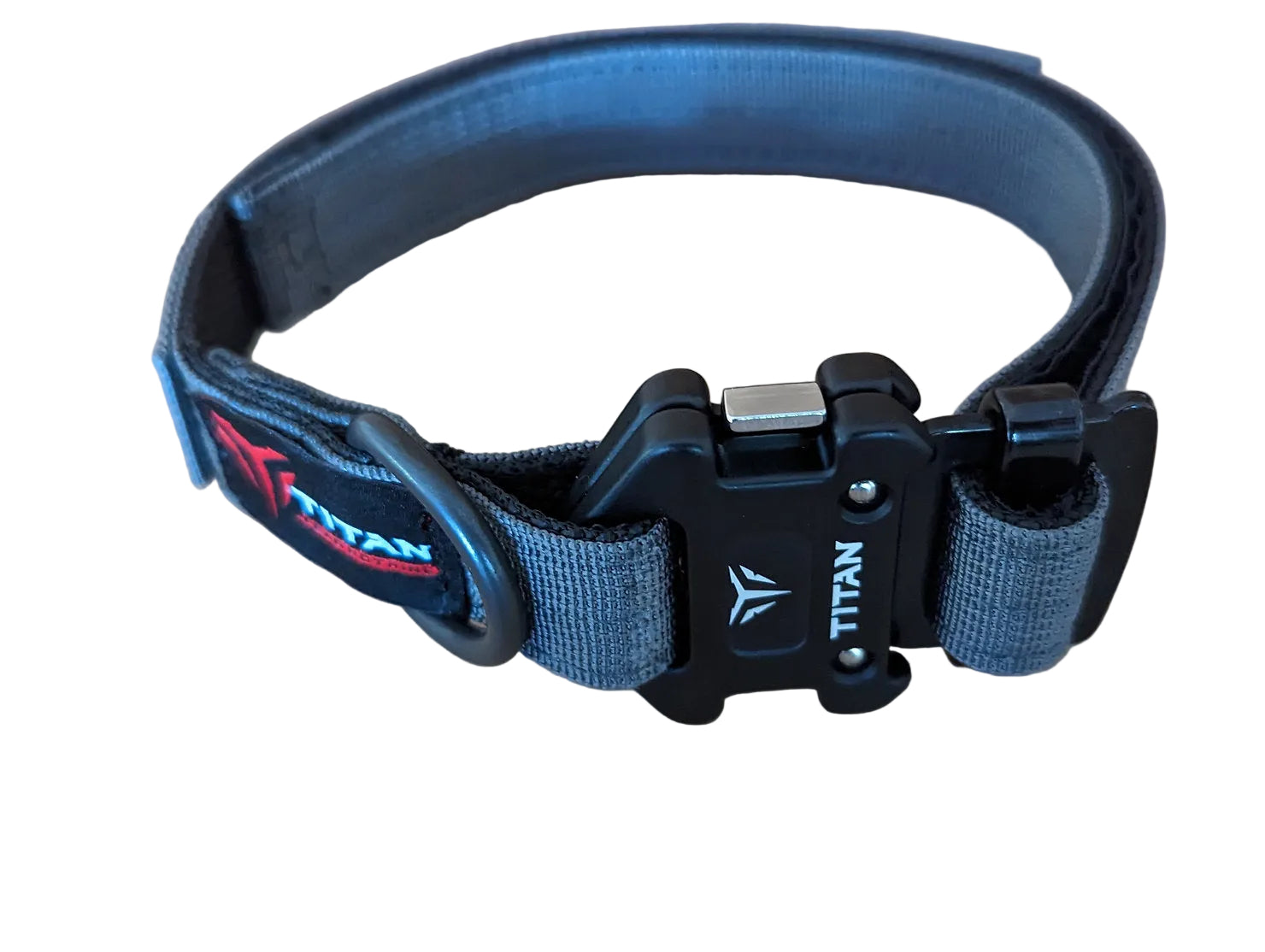 Gray dog collar with black buckle on a white background